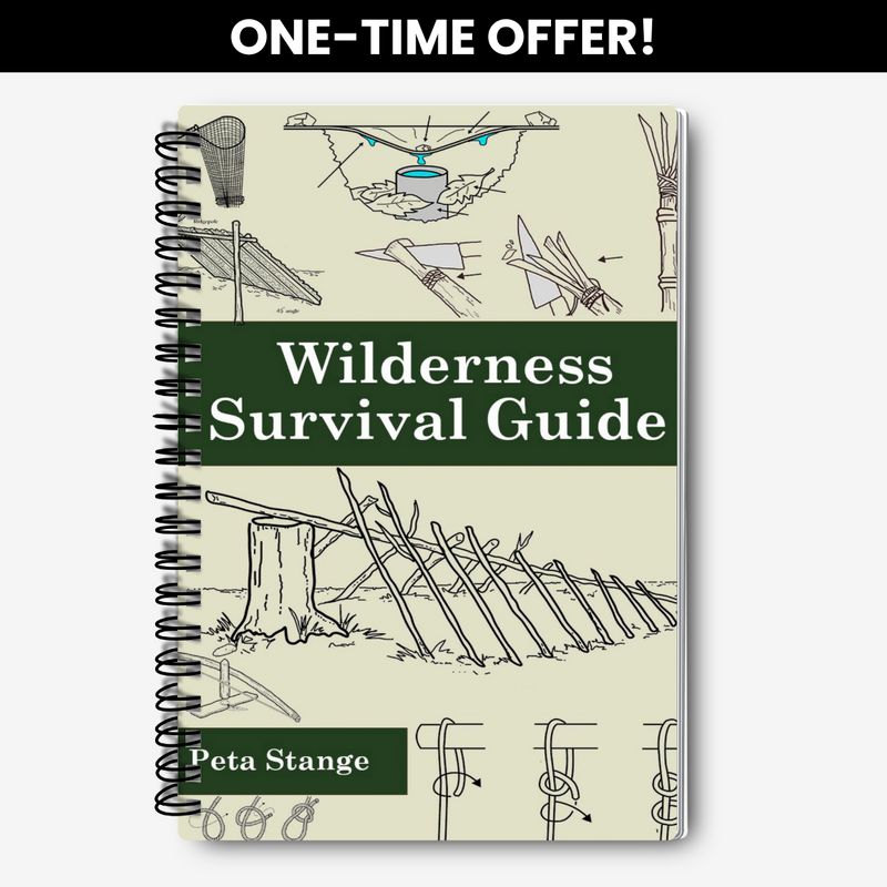 Wilderness Survival Guide (90% OFF)