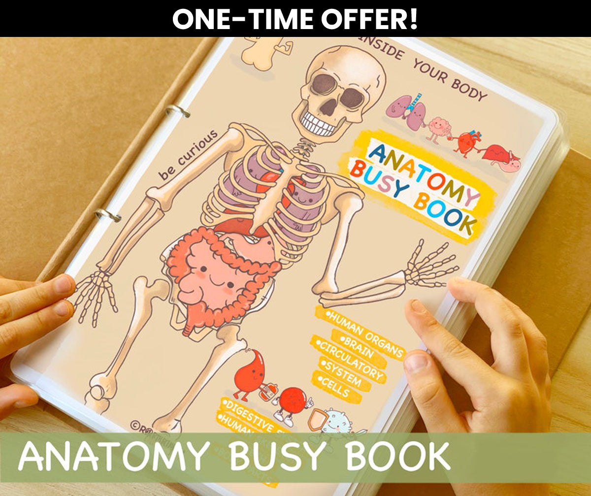 Human Anatomy Busy Book (90% OFF)