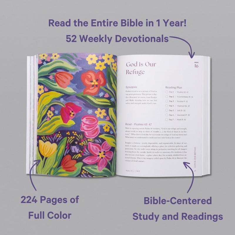 A Beautiful Year in the Bible (90% OFF)