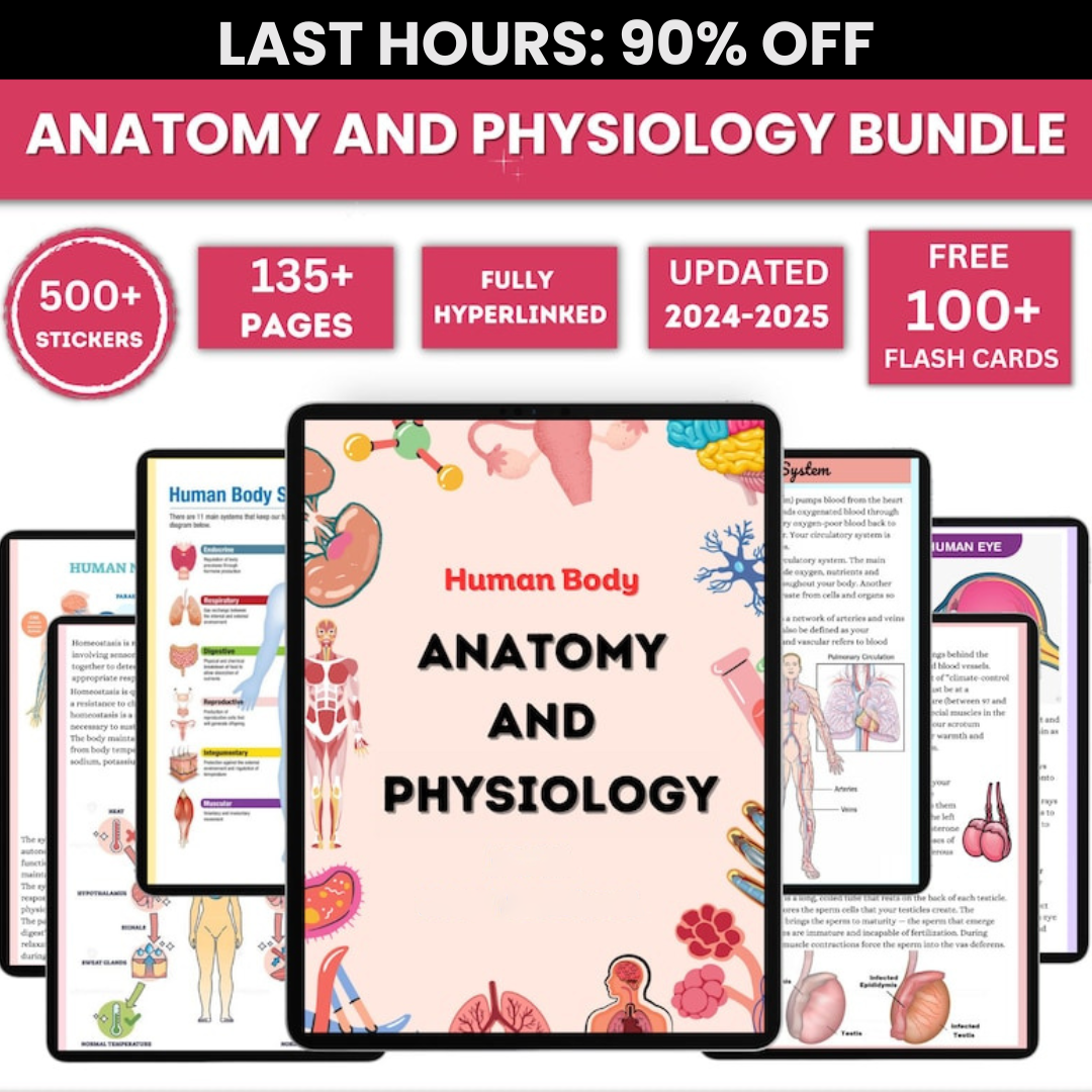 The All-Inclusive Anatomy & Physiology Guide (90% OFF)