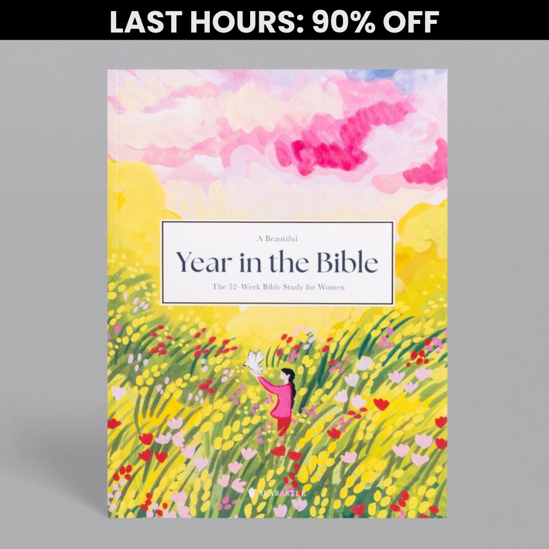 A Beautiful Year in the Bible (90% OFF)