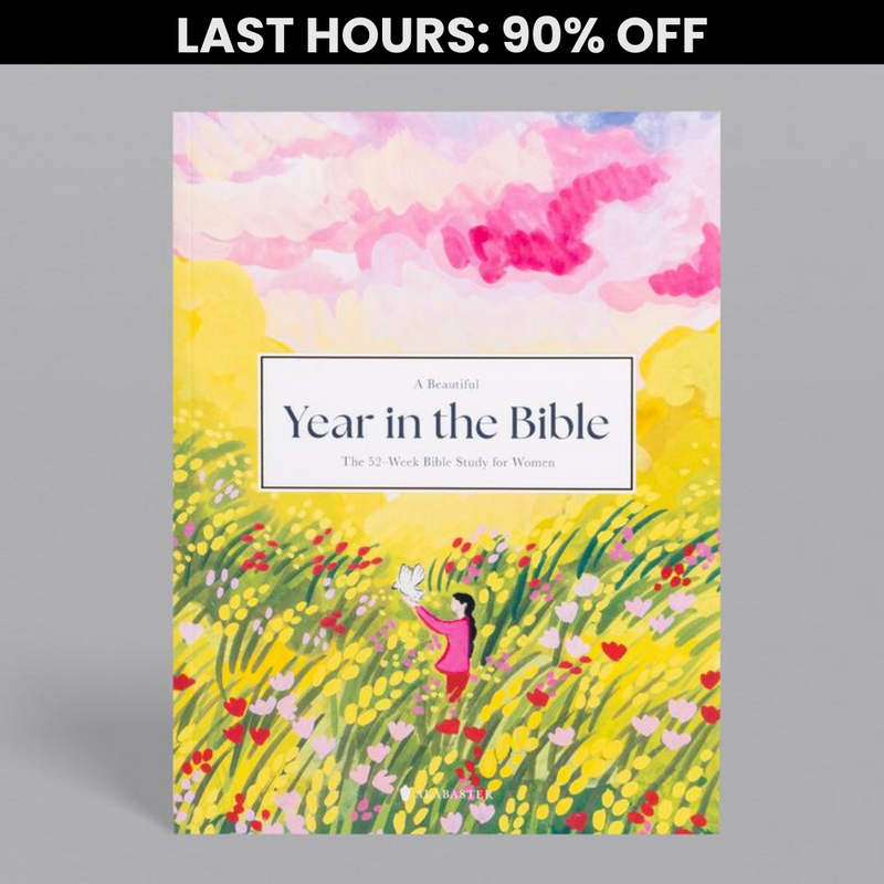 A Beautiful Year in the Bible (90% OFF)