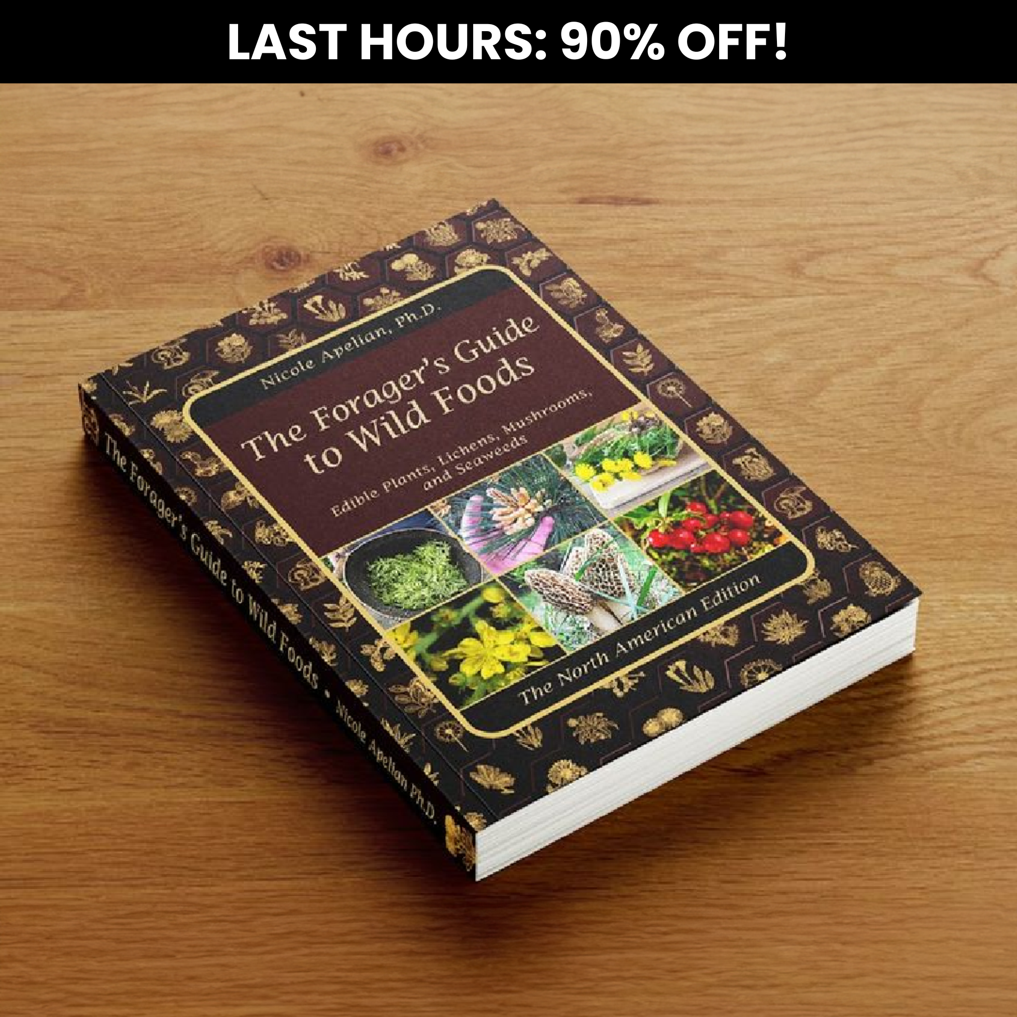 The Forager's Guide to Wild Foods (90% OFF)