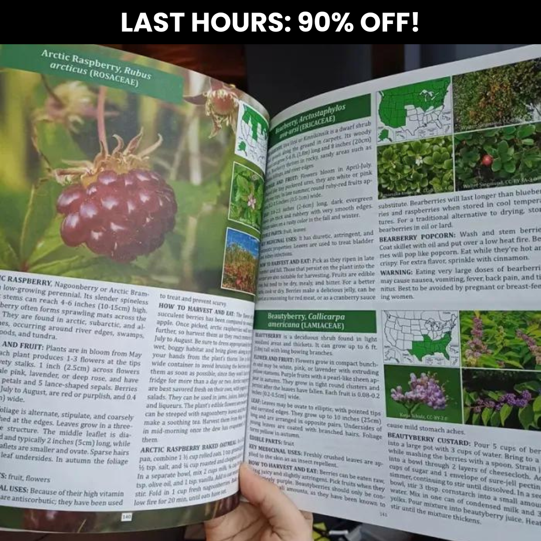 The Forager's Guide to Wild Foods (90% OFF)